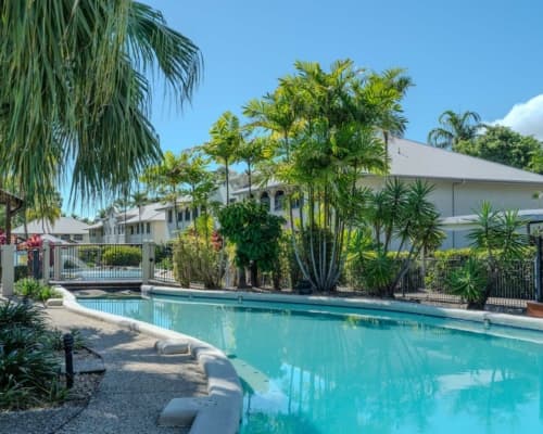 Swimming pool surrounded by tropical greenery at Mango Lagoon Resort, Palm Cove Cairns