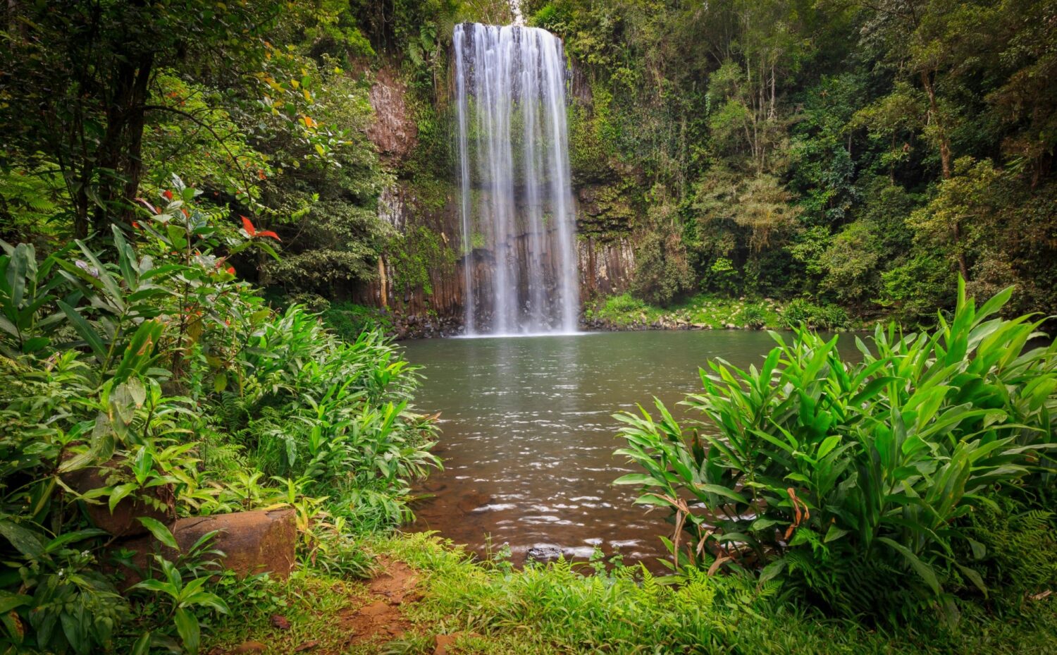Waterfall far north queensland
