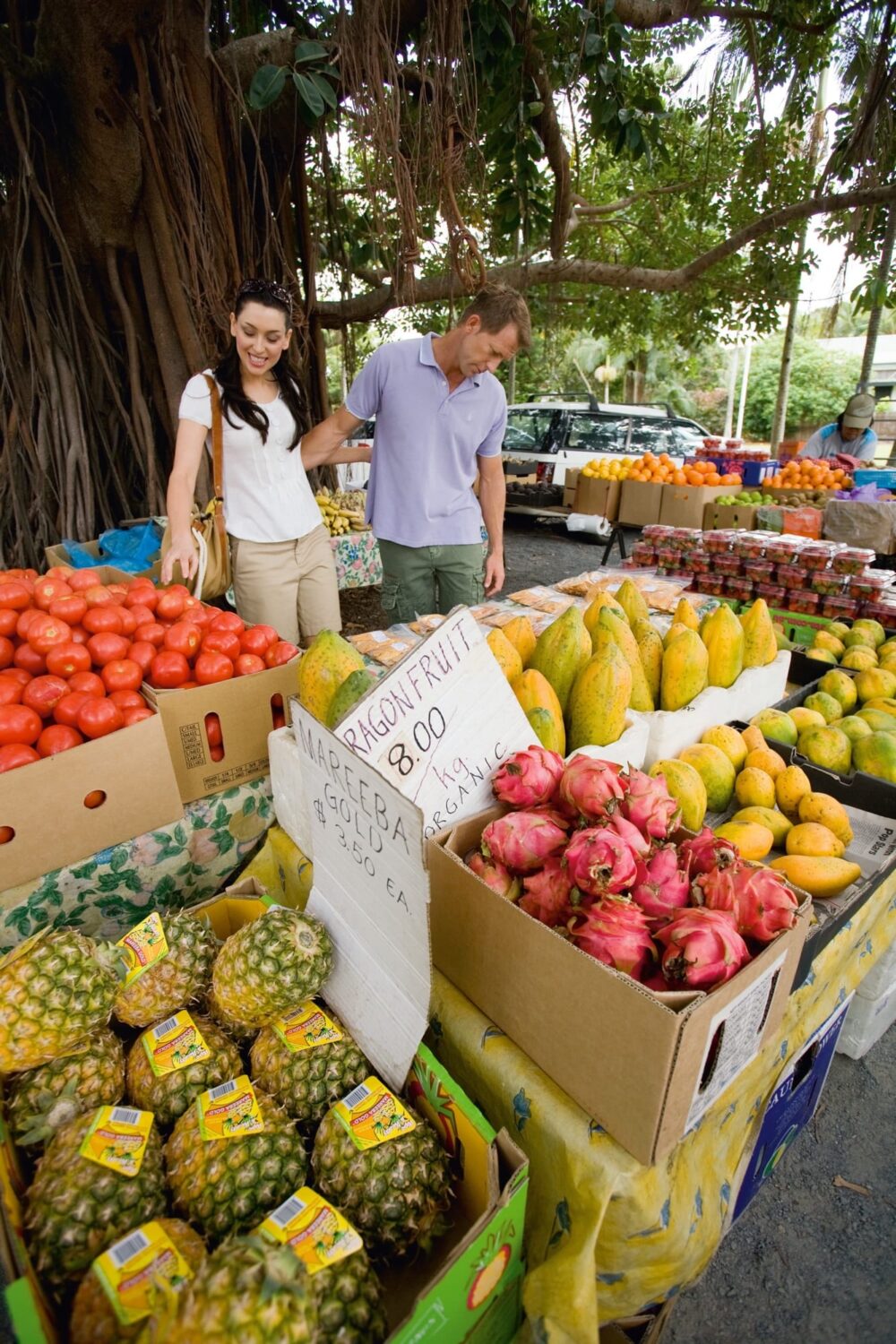 Sunday markets Cairns Port Douglas
